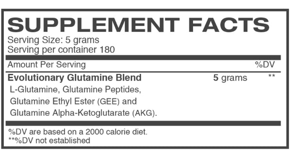 Intek evolution glutamine